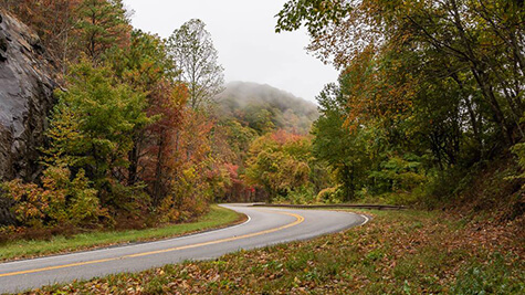 Brandon Johnson twisting road Brandon Johnson twisting road