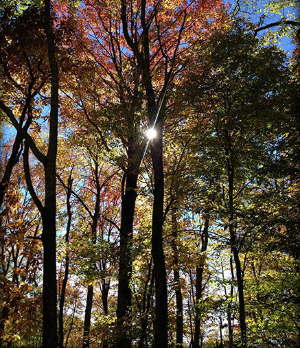 Cherokee National Forest Sunburst by Nathan Yarborough Cherokee National Forest Sunburst by Nathan Yarborough