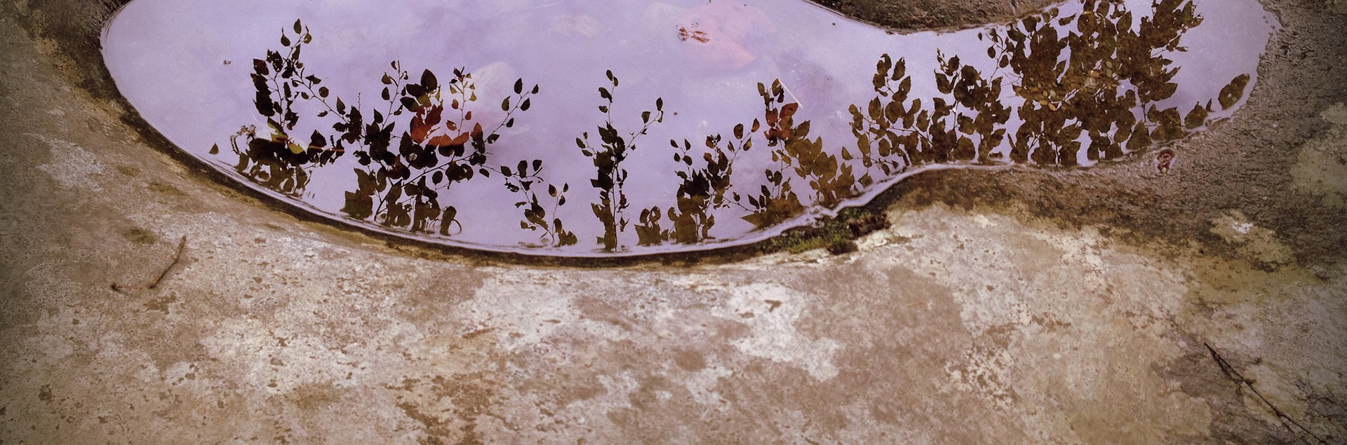 Puddle by Nathan Yarborouh