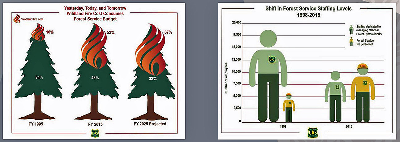 a-comparison-of-a-person-and-a-tree-ai-generated A comparison of a person and a tree AI-generated content may be incorrect.